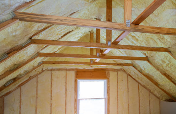 Best Local Insulation Services  in Combine, TX