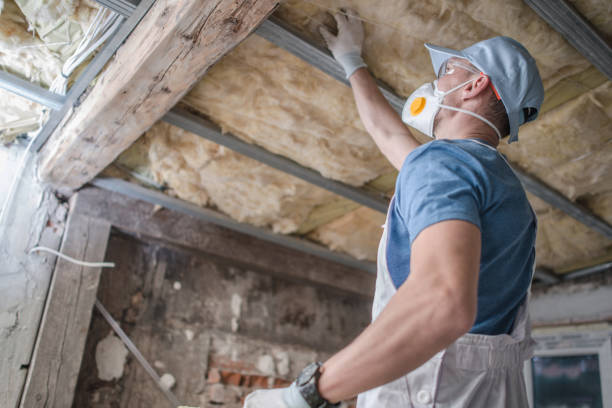 Best Insulation Contractor Near Me  in Combine, TX