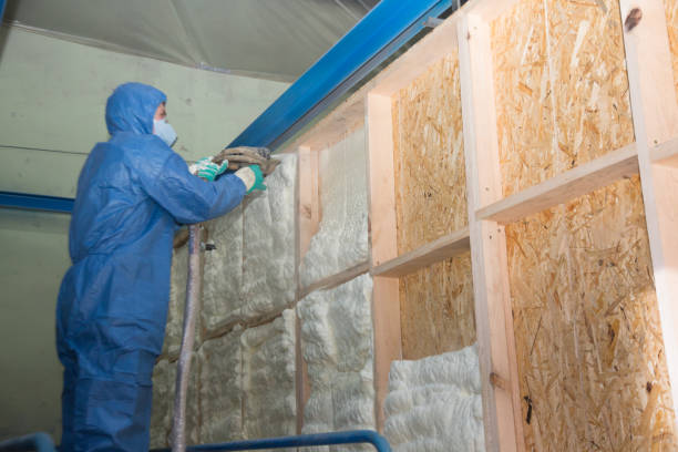 Best Home Insulation Services  in Combine, TX