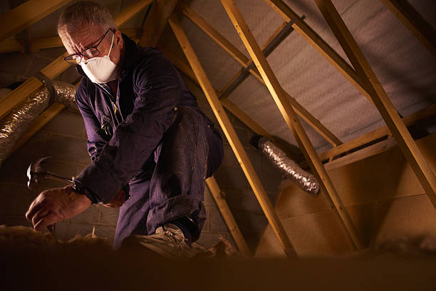 Best Crawl Space Insulation  in Combine, TX